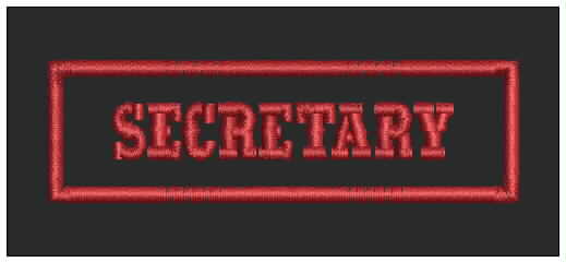 Secretary Rank Patch